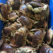 Load image into Gallery viewer, Pick Up Saturday in Hollis/Nashua, NH 10 to 2pm

