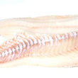 Load image into Gallery viewer, Pick Up Saturday in Hollis/Nashua, NH 10 to 2pm
